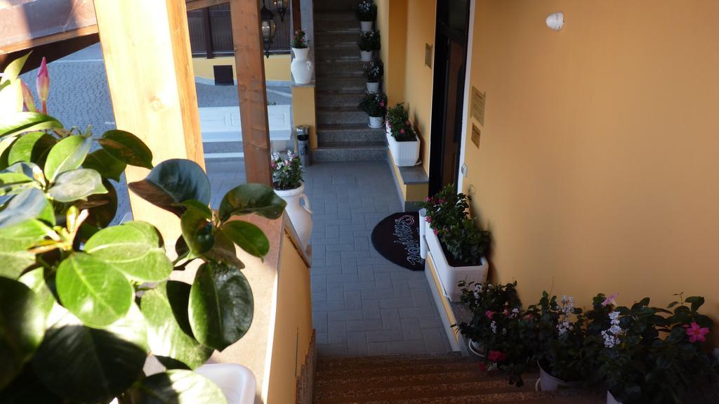Affittacamere Stranamore Frascati Exterior photo